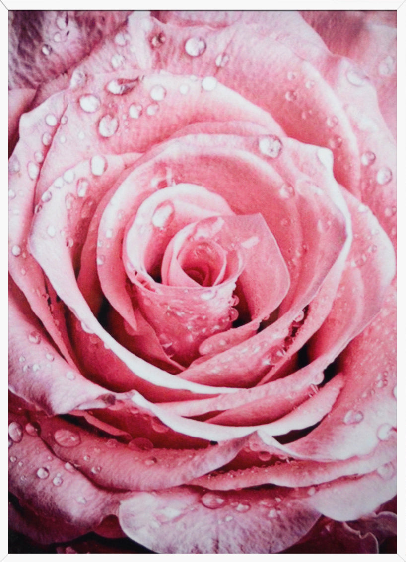 Artsy Style Decorative Painting, White Frame